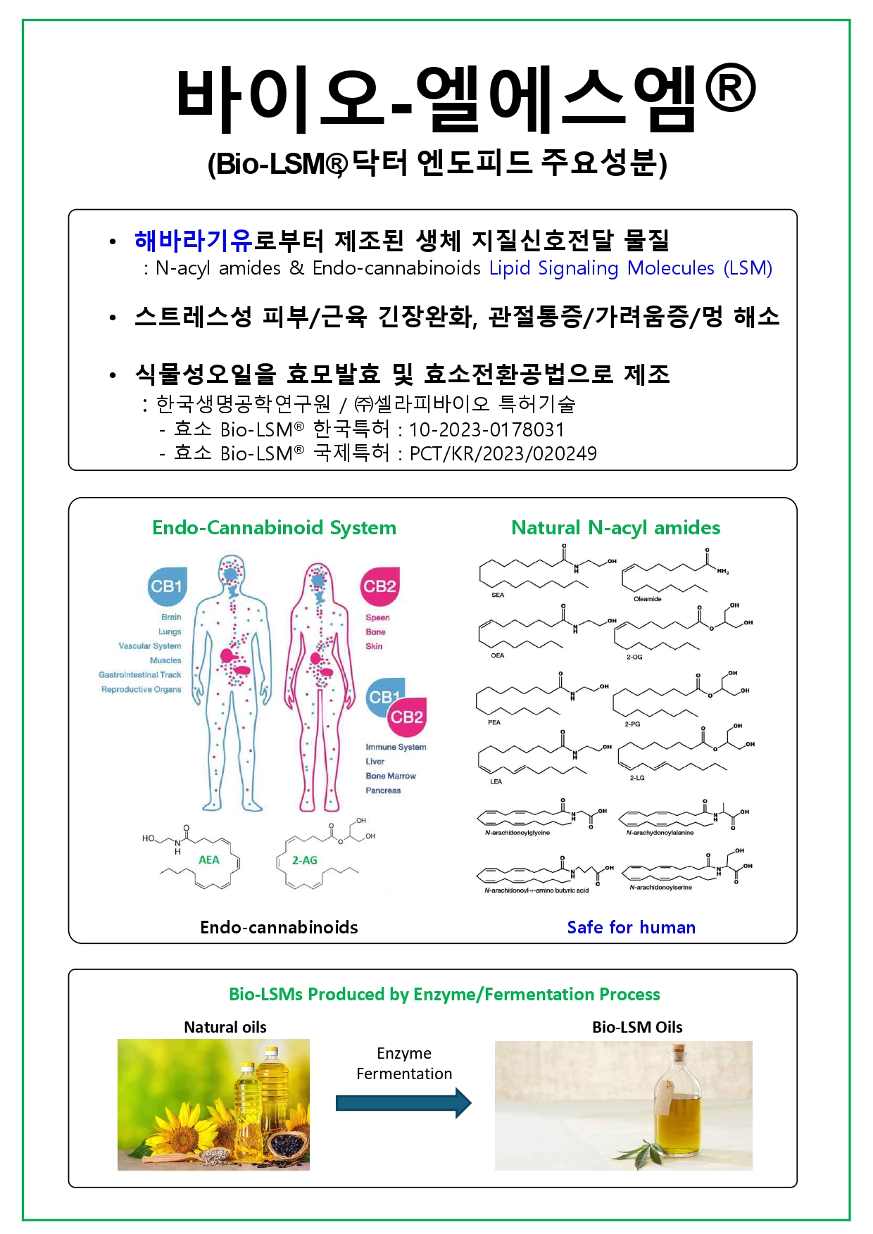 Bio-LSM 포스터용(A4)_241029_page-0001.jpg