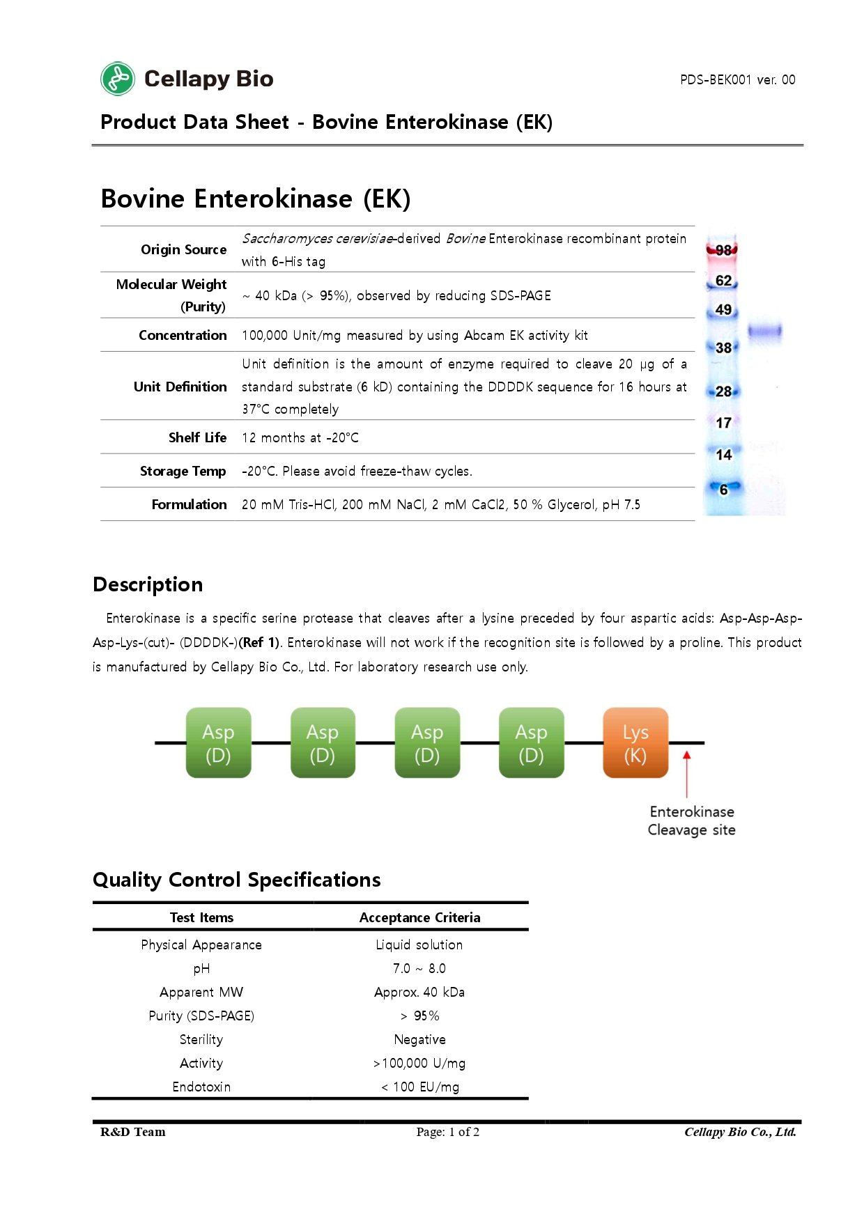 PDS-BEK001 Bovine Enterokinase Product data sheet_page-0001.jpg