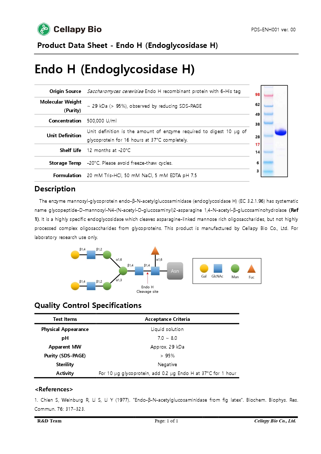 PDS-ENH001 Endo H Product data sheet_page-0001.jpg