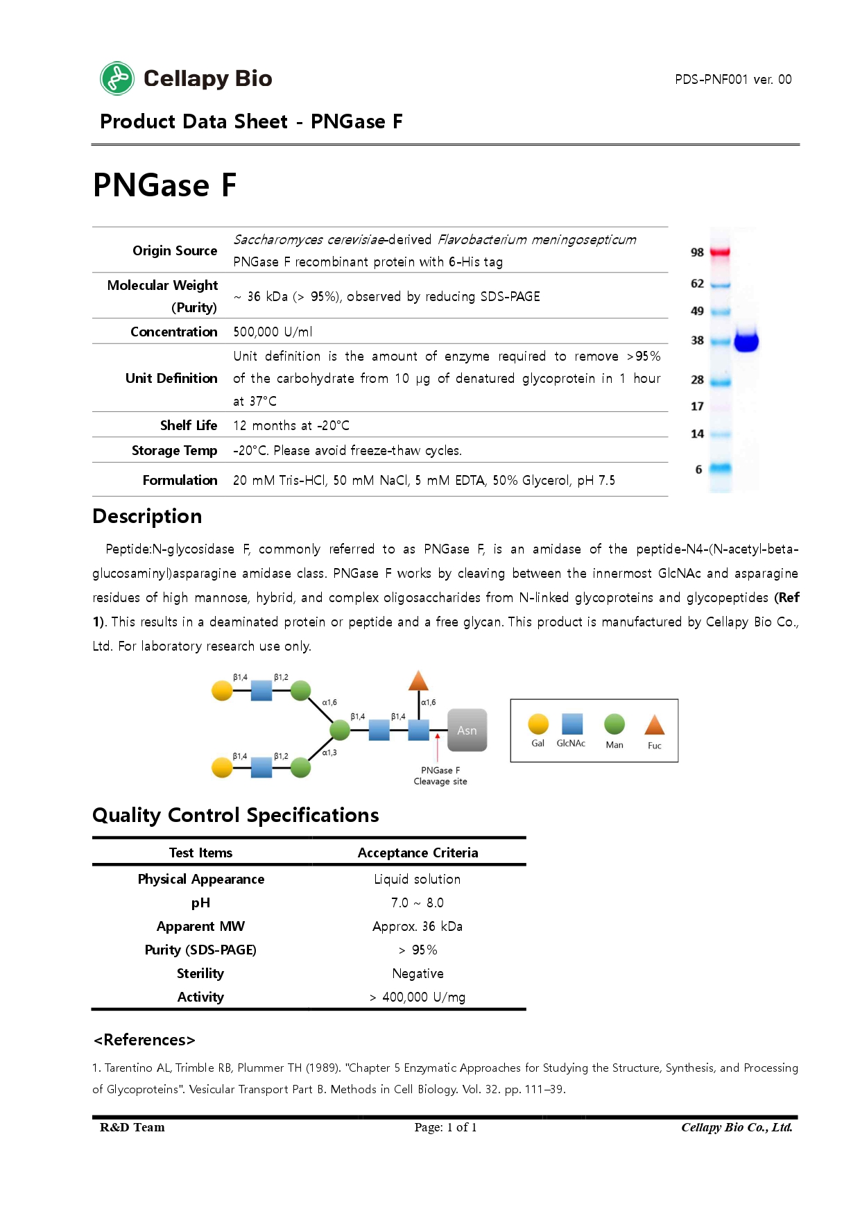PDS-PNF001 PNGase F Product data sheet_page-0001.jpg