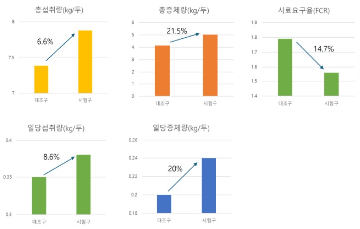 이유자돈 결과.jpg
