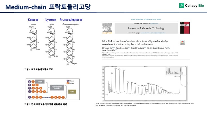 슬라이드9.JPG