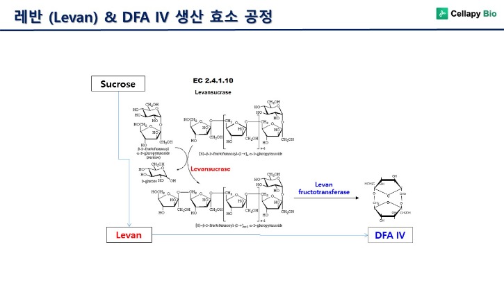 슬라이드3.JPG