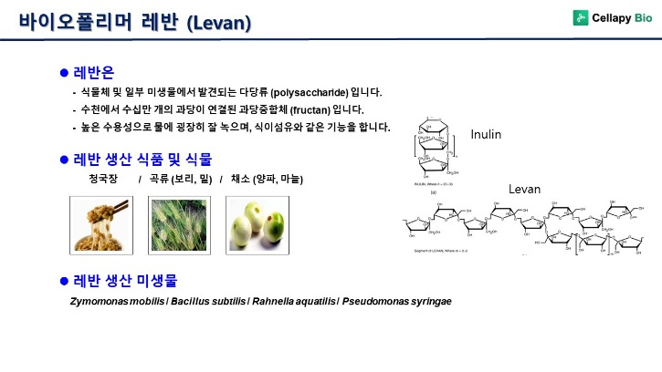 슬라이드1.JPG