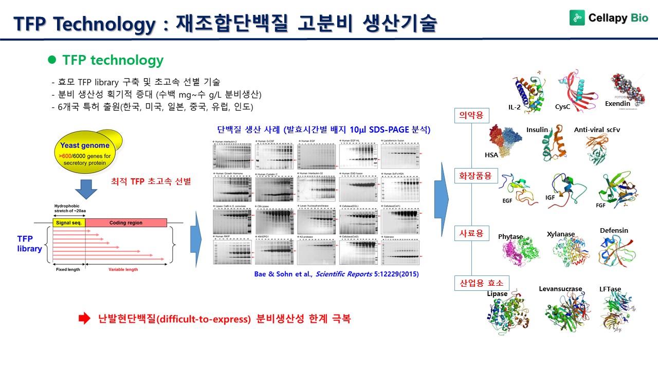 슬라이드2.JPG